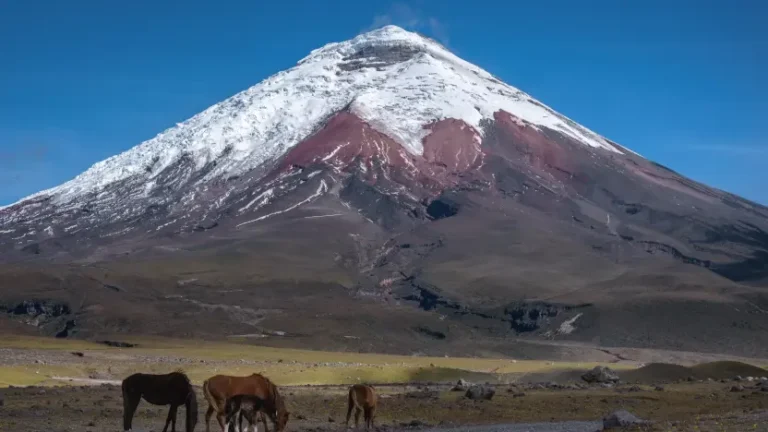 Volcán Cotopaxi Ecuador