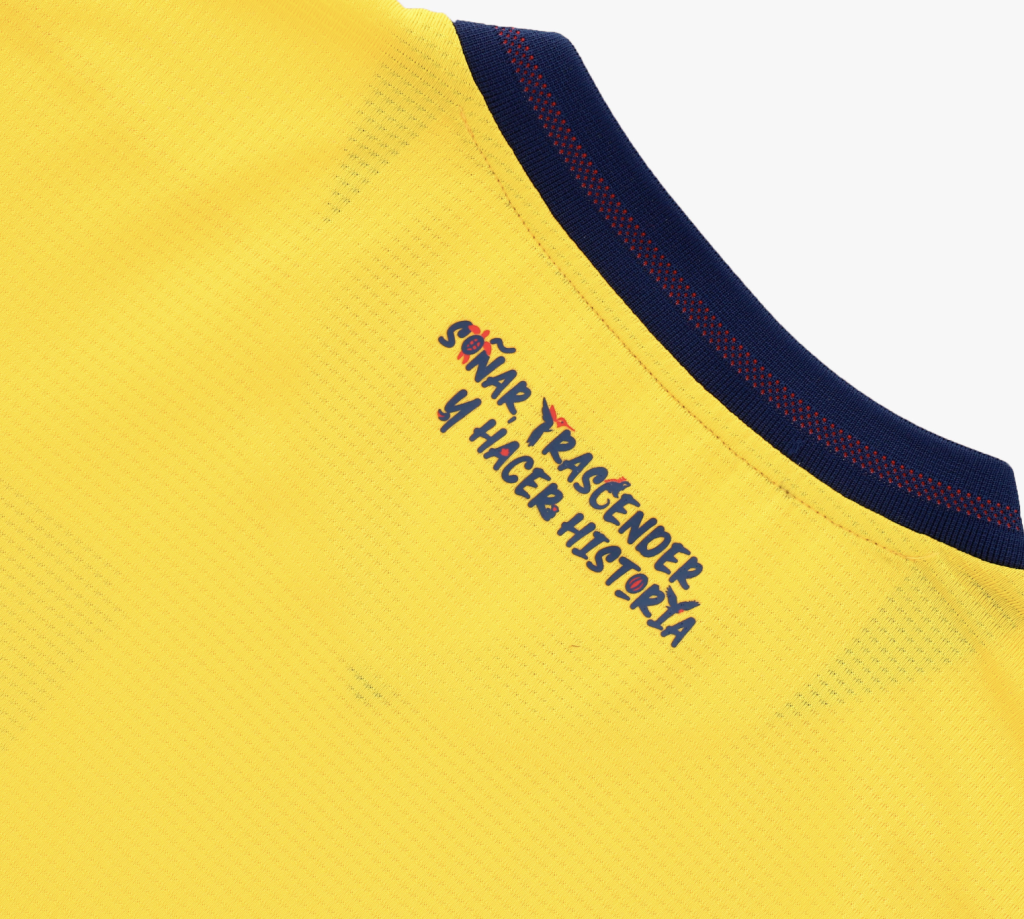 Nueva camiseta detalle posterior