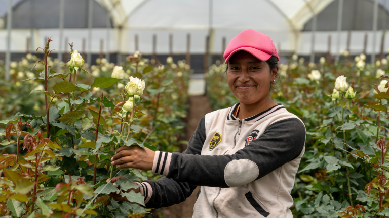 flores ecuador
