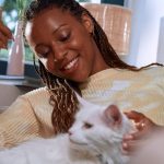 Veterinarios alertan sobre el impacto del clima en la salud de los gatos y llaman a reforzar la prevención